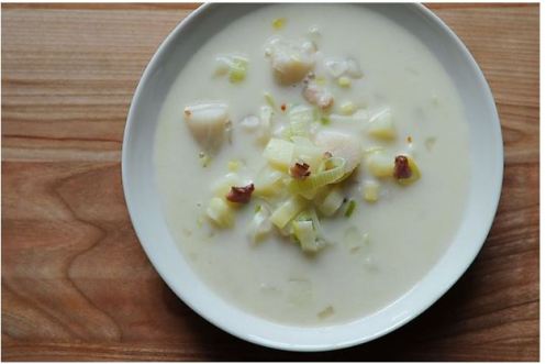 bayscallopchowder
